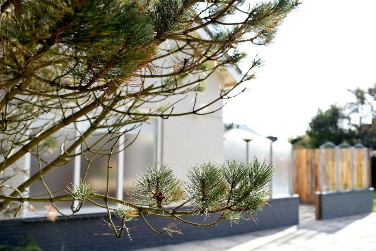Beachhouse Bosweg Noordwijk Dış mekan fotoğraf